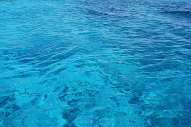 Sail The Day Sailing Snorkeling Excursion Activities In Skiathos Town