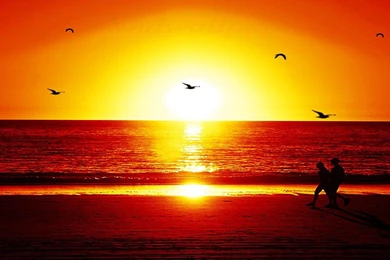 HD Beach Sunset Siluet Wallpapers 1080p Full Size   HiReWallpapers 6638