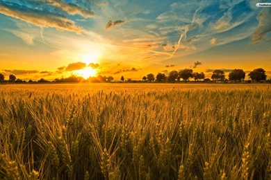 Free Beautiful Sunset Wallpapers For Mac @PNE « Wallx