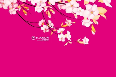 1280x1024 Sakura Flower Desktop PC And Mac Wallpapers