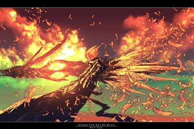 Trigun Vash The Stampede Wallpapers   (