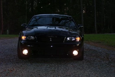 SVT Cobra Wallpapers