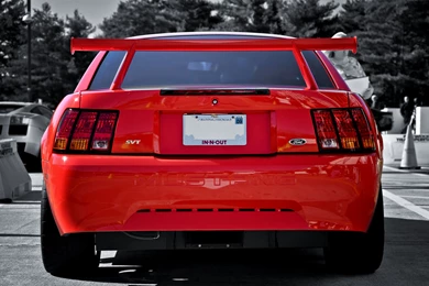 Ford Mustang Svt Cobra R