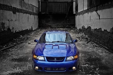 Lets See The Best Pictures Or Videos Of Your Terminator.   Page 27