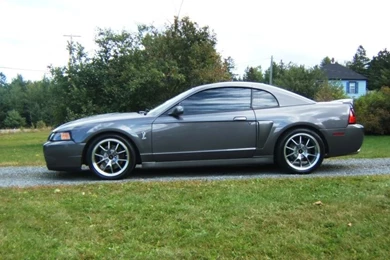 Show Us Your Dark Charcoal Or Gray Terminators!