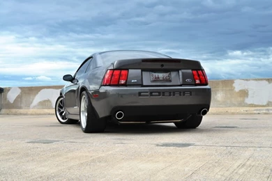 How Many Do You Have? Post Pictures Of All Of Your CURRENT ...