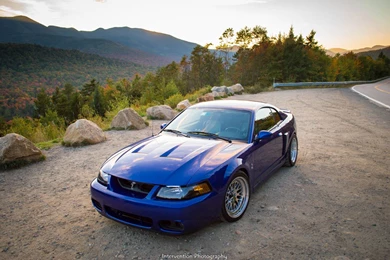 Gorgeous 2003 SVT Cobra Mustang With CCW Wheels