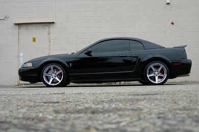 Ford Mustang Cobra Wallpapers   (