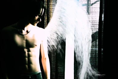 Angel In The Dark Wallpapers From Angels Wallpapers