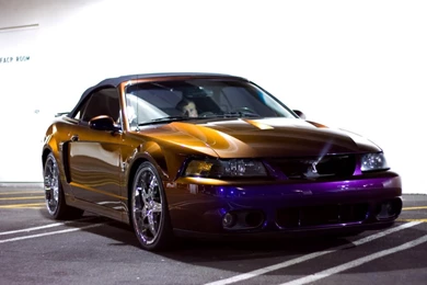 HD Wallpapers Shots Of Cobra