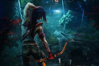Wallpaper: Tomb Raider, Fantasy Girl, Video Game, Arrow, Forest ...