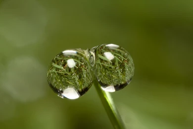 Latest Computer Wallpapers   Wallpapers Zone