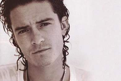 Top 1000 Screensaver: Bloom Free Orlando Screensaver