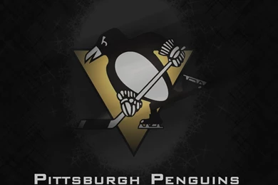 Pittsburgh Penguins 1