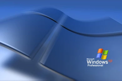 Related Searches For Windows Xp Professional Wallpapers. Dog ...