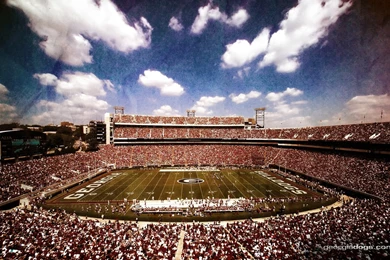 University Of Georgia Wallpapers   Wallpapers Zone