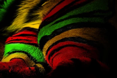 Rasta Love Quotes In Patois. QuotesGram