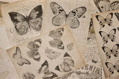 Free Printable Image   Vintage Butterflies Backgrounds   Touch The Wood