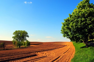 Nature, Sky, Trees, Road, 2560x1440 HD Wallpapers And FREE Stock Photo