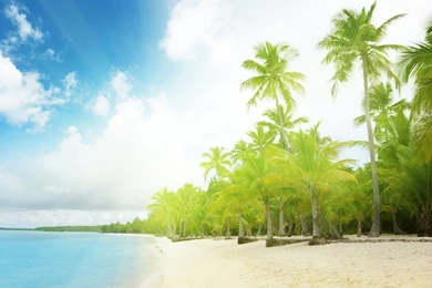 Summer Sky   Wallpapers Downloads Directory Wallpaper, Photo, And ...