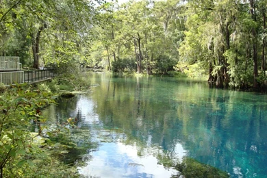 Fountain Of Youth   Manatee Springs