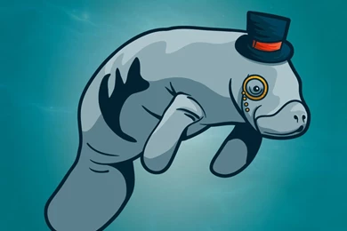 Fancy Manatee By Rainbow machine On DeviantArt