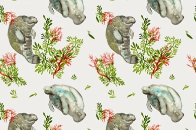 Naomese   Naomi Bardoff's Art Blog: Manatee, Seaweed, And Coral ...