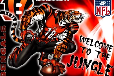 Bengals Wallpapers Photo Good 1061   BohatyBohaty