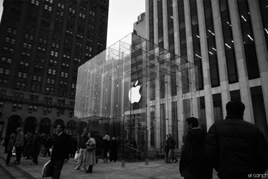 Wallpaper, Store, Apple (