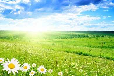 Spring Wallpapers HD And Spring Backgrounds Best Collection