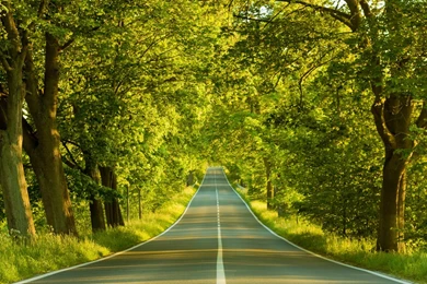 Free Wallpapers 413   HD Wallpapers