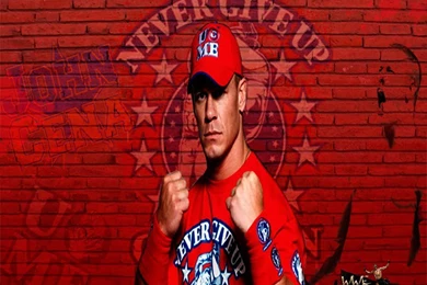 Wallpapers Bella Twins Mobile Iphone Psp 800x600