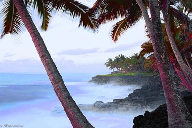 Wallpapers Nature Art Tropical Fantasy Digital Psp 1366x768 ...