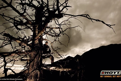 Wallpapers Diamond Archery 1280x800