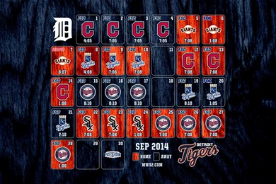 Detroit Tigers, Baseball, Mlb, Sports, 2560x1440 HD Wallpapers And ...