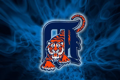 Picture Of Tigers On Animal Picture Society