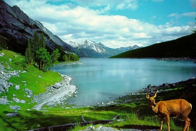 Wallpapers For Nature Beauty   HD Wallpapers Pretty