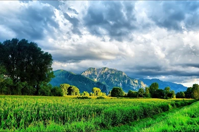 Landscaping Backgrounds   Wallpapers Zone