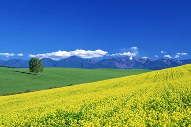 Beautiful Spring Landscape Wallpapers Download HD Attachment 16714 ...