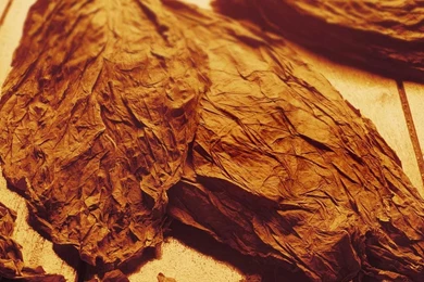 Rehabilitation Drugs For Bad Effects Of Health