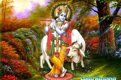Lord Krishna HD Wallpapers