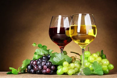 Wine Desktop Wallpapers ~ Toptenpack.com