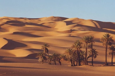 EWB0005126 sahara view_103217 1920x1200.jpg