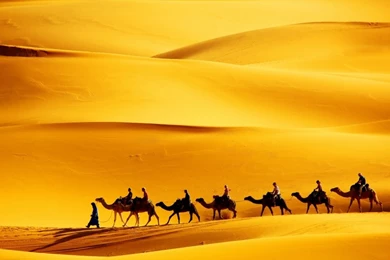 Sahara Desert Wallpapers Wall Mural