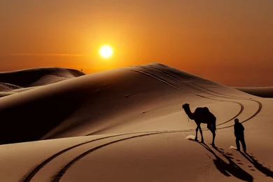 Sahara Desert Desktop Wallpapers : Nature Wallpapers   Semrawut