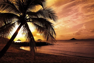 Wallpapers Inc Cute Cartoon Hd Sunset Beach Size My Hub World Best ...