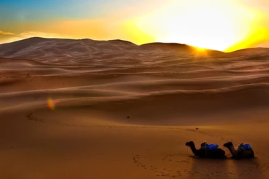 Sahara Desert Full HD Wallpapers : Nature Wallpapers   Semrawut