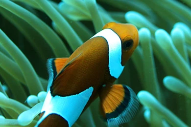 Best Wallpapers Download Site   HD Wallpapers And Pictures