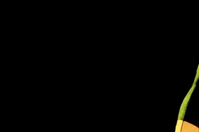 The Immortal Iron Fist iPhone 6 Wallpapers