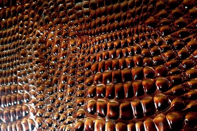 Faux Crocodile Fabric